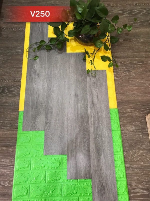 San-nhua-glotex-V250-600x800